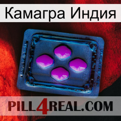 Камагра Индия 04